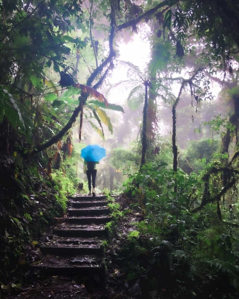 What To Wear In Costa Rica Clothes For Costa Rica & Packing List (2023)