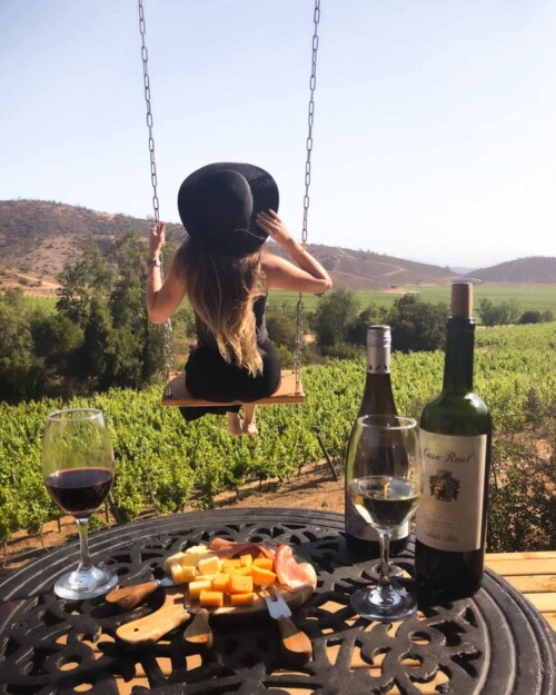 Piscoandbier enjoying the view over the vineyards of Casablanca Valley from Casa Columpios swing with wine and cheese
