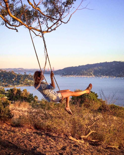 Hippie Tree Swing in Tiburon with view of San Francisco