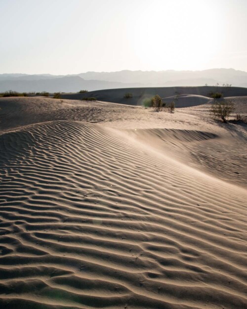Mesquite Flat Sand Dunes a top recommendation for what to see in Death Valley National Park
