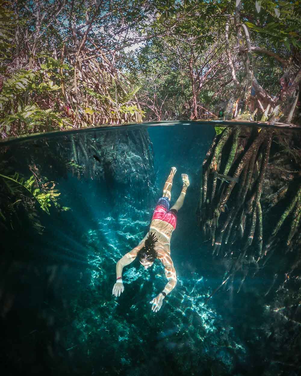 The Best Cenotes Near Cancun, Mexico - With Cancun Cenote Tours & Map