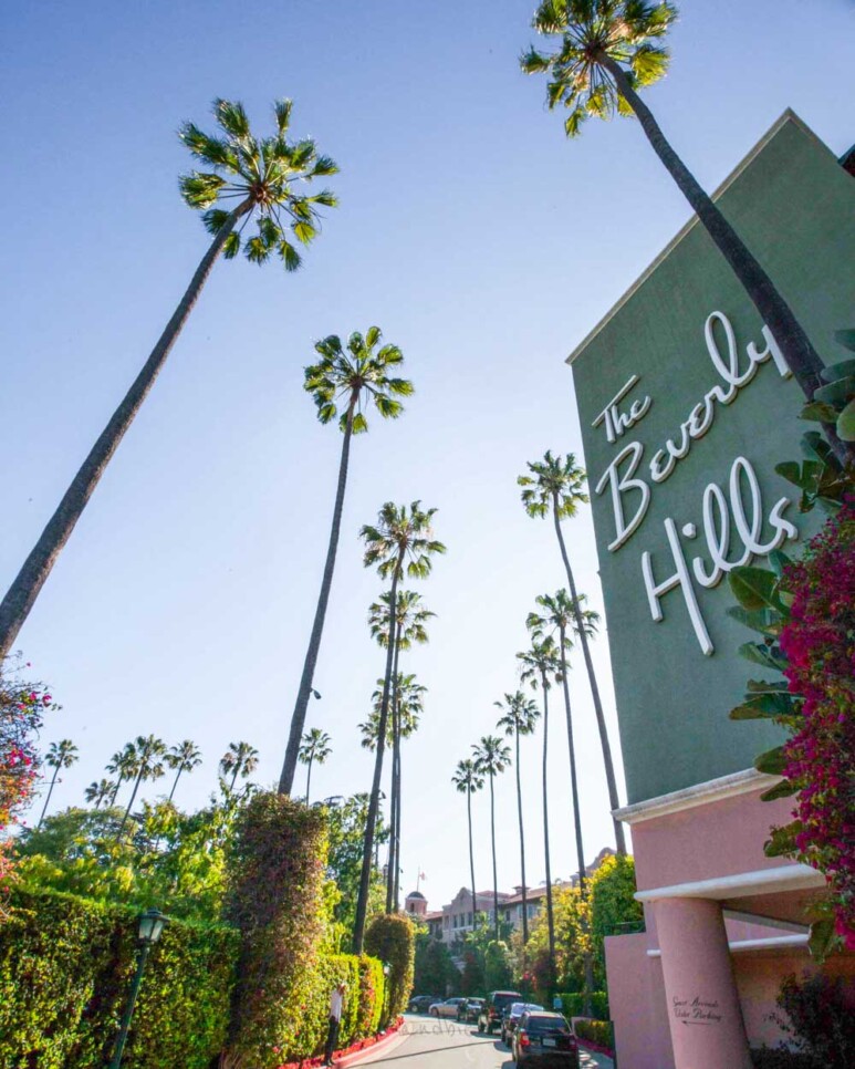 The Beverly Hills Hotel Review  5-Star Luxury Boutique Suites & Bungalows