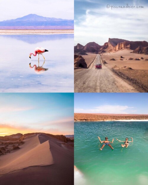 Best things to do Atacama desert & Atacama desert tours